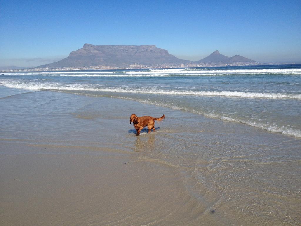 Roman Retreat Kaapstad Buitenkant foto